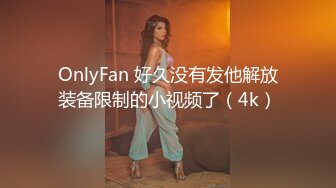 OnlyFan 好久没有发他解放装备限制的小视频了（4k）