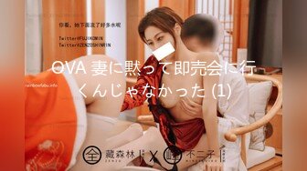 OVA 妻に黙って即売会に行くんじゃなかった (1)