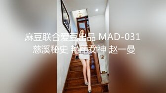 国产麻豆AV MSD MSD069 旗袍女神 新人女优 林晓雪