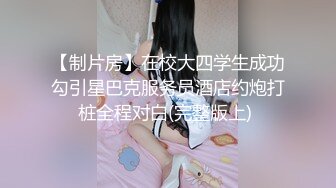 美丽的大奶子