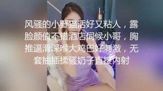 [MP4]【女神感谢祭完成粉丝心中色色的梦想】搭讪狼粉车震达成他的小愿望内射中出国语中字