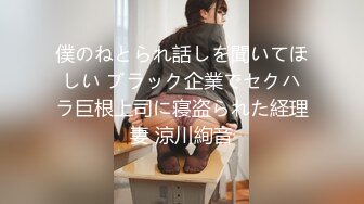 僕のねとられ話しを聞いてほしい ブラック企業でセクハラ巨根上司に寝盗られた経理妻 涼川絢音