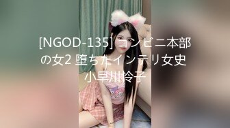 [NGOD-135] コンビニ本部の女2 堕ちたインテリ女史 小早川怜子