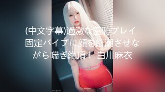 【跨年甄选极品萝莉】超幻3D视觉爆操双马尾萝莉女友喵喵 从客厅操到浴室 从浴室干到车上 男友视角