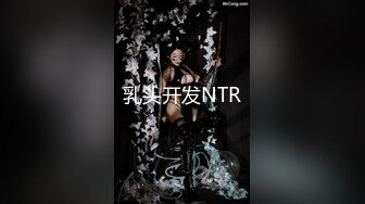 【自制字幕系列】之【壹屌寻花】（第二场）南航空姐，4500魔都大圈，高跟黑丝女神，此等佳人难得一遇