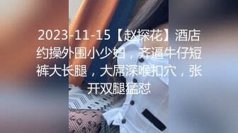 2023-11-15【赵探花】酒店约操外围小少妇，齐逼牛仔短裤大长腿，大屌深喉扣穴，张开双腿猛怼