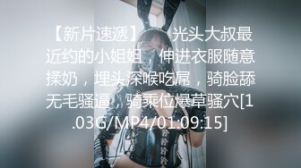 修长美腿诱惑狼师