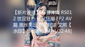 麻豆传媒映画 MMZ-033画家的女学徒-寻小小