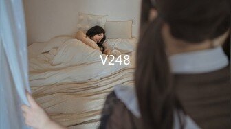 V248