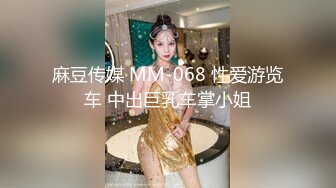 麻豆传媒 MM-068 性爱游览车 中出巨乳车掌小姐