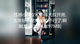 高颜值美少女包臀裙勾引姐夫 精致脸蛋黑丝 淫语不断.MP4