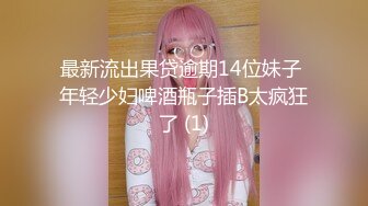 【伊玫瑰】高颜值河南小少妇，良家感十足，跟粉丝啪啪无套，自慰用黄瓜 (1)