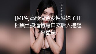 大像传媒之E奶豐滿輕熟女素人OL