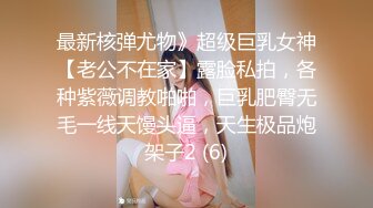 【正片】π653 文艺少女的诱惑春天