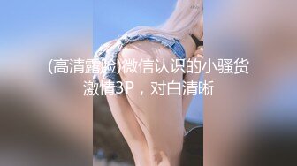 (高清露脸)微信认识的小骚货激情3P，对白清晰