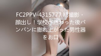 国产麻豆AV MDS MDSP0001 风骚少妇 美少妇勾引管家 欧美玲