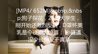 [MP4/ 652M]&nbsp;&nbsp;狗子探花，21岁大学生，刚开始还激烈反抗，D罩杯美乳是今夜最大惊喜， 小骚逼没少被男友干真紧