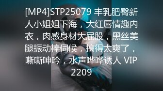 [MP4]STP25079 丰乳肥臀新人小姐姐下海，大红唇情趣内衣，肉感身材大屁股，黑丝美腿振动棒伺候，搞得太爽了，嘶嘶呻吟，水声哗哗诱人 VIP2209