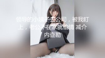 和老婆XX-1