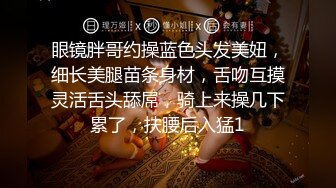 眼镜胖哥约操蓝色头发美妞，细长美腿苗条身材，舌吻互摸灵活舌头舔屌，骑上来操几下累了，扶腰后入猛1