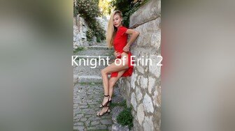 Knight of Erin 2