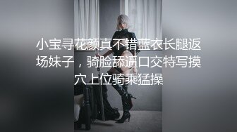 ★☆稀缺资源☆★推特30万粉母狗【Ella小骚狐】野外露出 调教 多P付费订阅 (9)