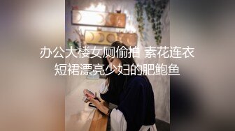 办公大楼女厕偷拍 素花连衣短裙漂亮少妇的肥鲍鱼