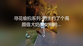 寻花偷拍系列-男主约了个高颜值大奶美女啪啪…