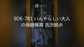 SOE-781 いんやらしい大人の保健体育 吉沢明歩