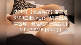 [2DF2] 【壹屌寻花】第二场3500白嫩小仙女，貌美温柔声音嗲，暴插蜜穴激情四射[MP4/98MB][BT种子]