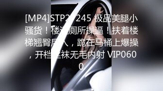 [MP4]STP27245 极品美腿小骚货！楼道厕所操逼！扶着楼梯翘臀后入，跪在马桶上爆操，开档丝袜无毛内射 VIP0600