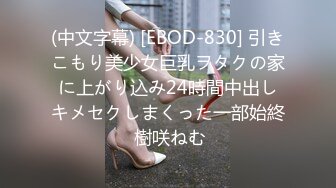 (中文字幕) [EBOD-830] 引きこもり美少女巨乳ヲタクの家に上がり込み24時間中出しキメセクしまくった一部始終 樹咲ねむ