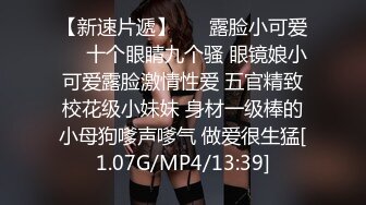 蜜桃影像传媒 PMTC016 黑丝女销售春节淫送礼