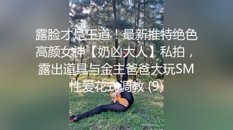 露脸才是王道！最新推特绝色高颜女神【奶凶大人】私拍，露出道具与金主爸爸大玩SM性爱花式调教 (9)