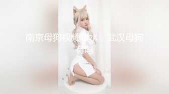 【050516-001】 猫图画书