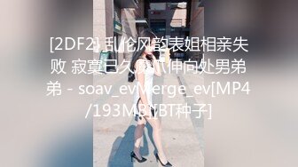 【三级】《来访者X痴女游戏》