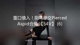 重口慎入！阴环拳交PiercedAspid合集 【54V】 (6)