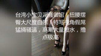 被小說家圈養的妻子 川上優