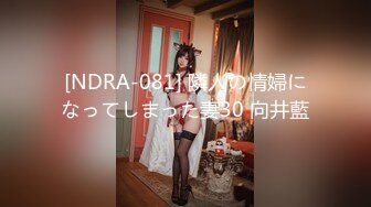 [NDRA-081] 隣人の情婦になってしまった妻30 向井藍